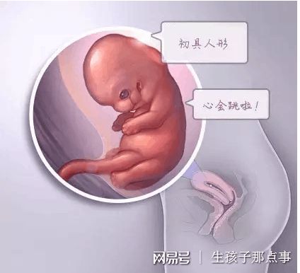 北京助孕包成功服务